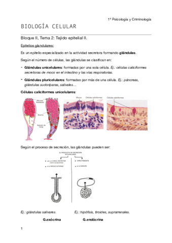 Biología celular - Tema 2- BII pdf.pdf