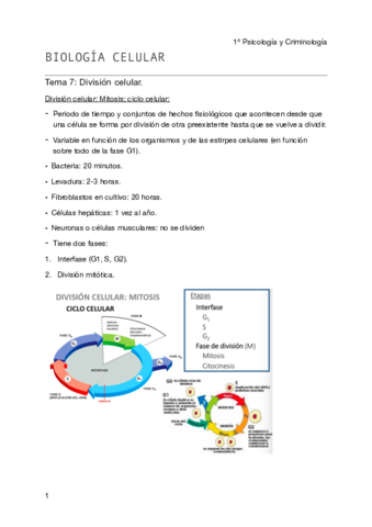 Biología celular - Tema 7 pdf.pdf