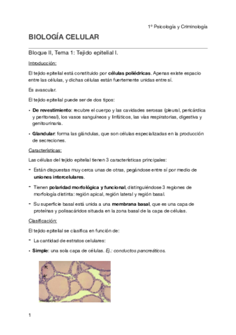 Biología celular - Tema 1 BII pdf.pdf