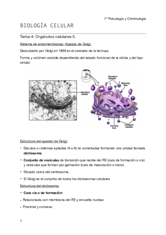 Biología celular - Tema 5 pdf.pdf