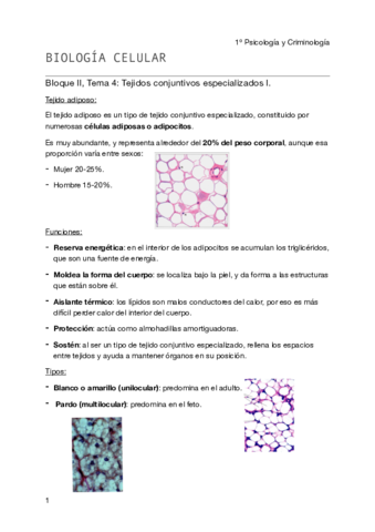 Biología celular - Tema 4- BII pdf.pdf