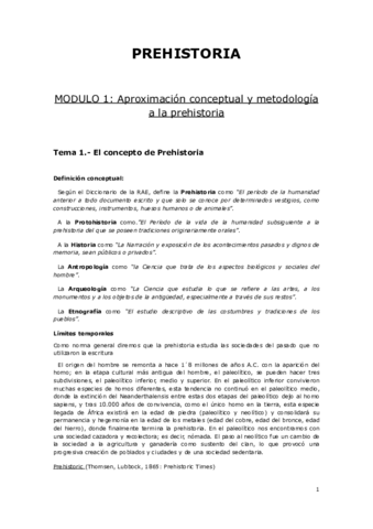 Temas 1 - 16 PREHISTORIA I.pdf