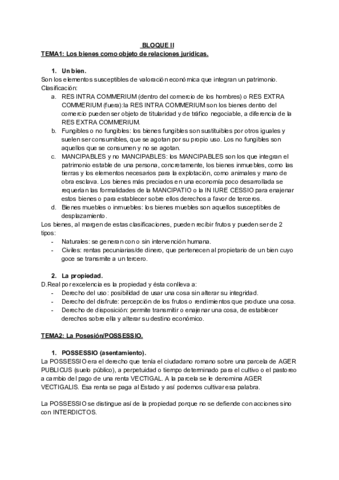 ROMANO II.pdf