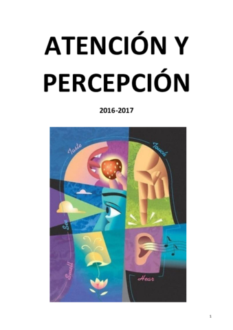 Teoría Atención y Percepción.pdf