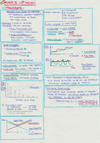 RESUMEN COMPLETO BLOQUE 3 LOGÍSTICA.PDF