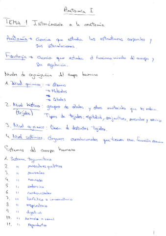 Apuntes anato 1.pdf