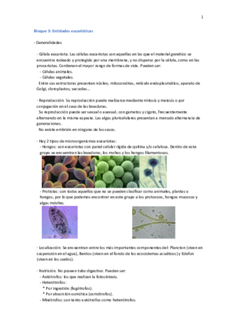 Bloque 3. Entidades eucarióticas.pdf