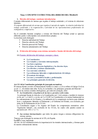 Derecho Laboral.pdf