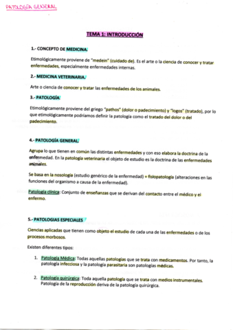 Patología Antonio.pdf