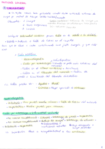 Patología Santi.pdf