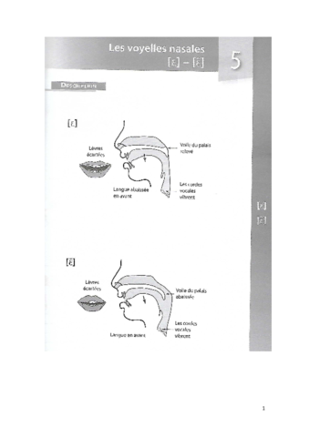 Voyelles nasales _500 exercices_.pdf