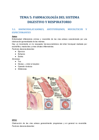 TEMA 5 (5).pdf