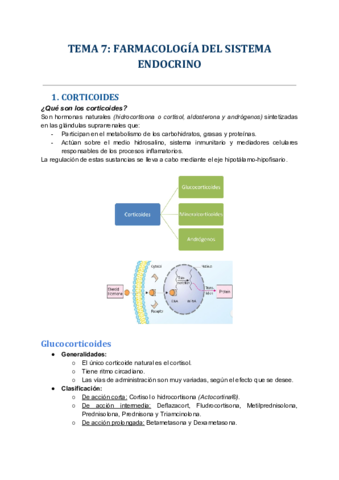 TEMA 7 (3).pdf