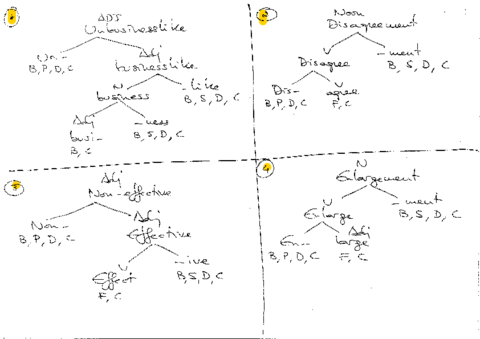 Answers to morphological tree diagrams.pdf