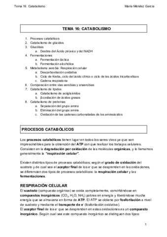 16. Catabolismo.pdf