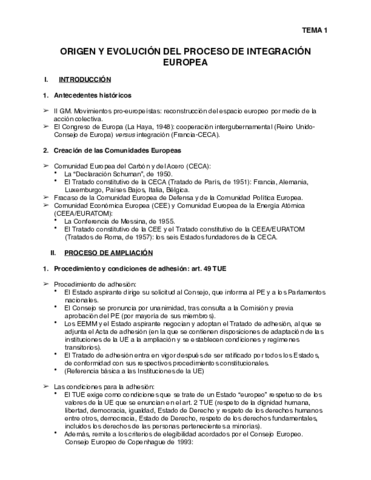 Esquemas Completos - DUE.pdf