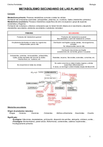 TEMA 6 (1).pdf