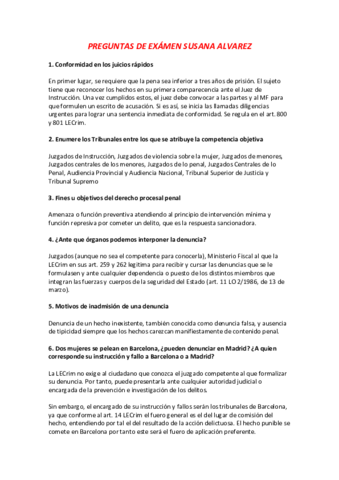 Preguntas Examen Final Procesal Penal.pdf