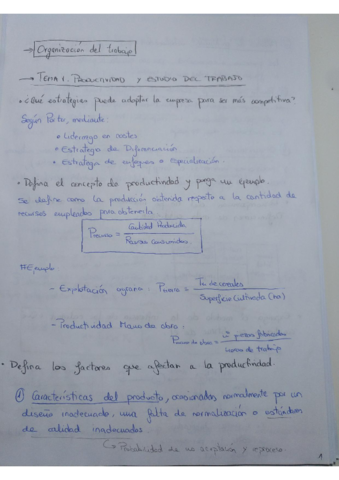 Preguntas teoría OT.pdf