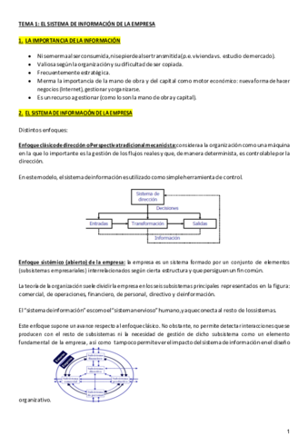 TEMA 1 SISTEMAS BUENO.pdf