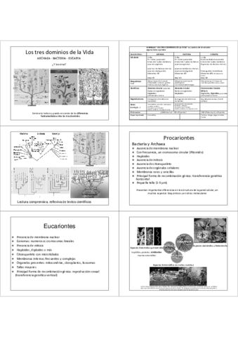 02 Tres dominios.pdf