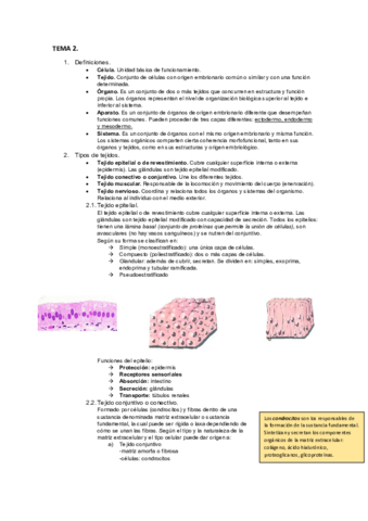 TEMA 2.pdf