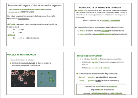 05 1 Reproducción vegetal.pdf