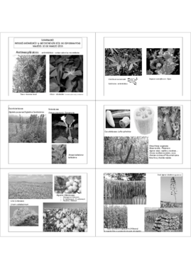 09 2 Interés biomédico.pdf