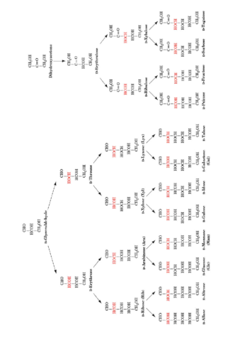 Carbohydrates.pdf