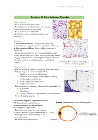 Seminario III adiposo.pdf