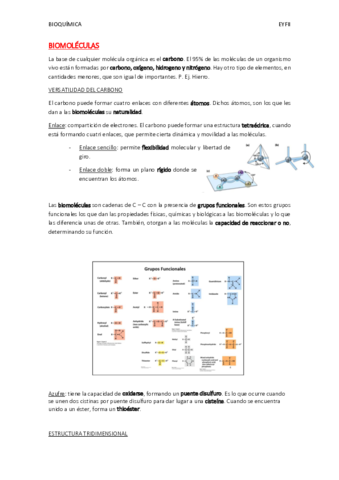 BQ PDF (1).pdf