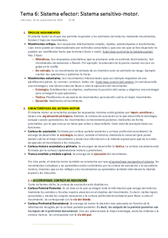 PSICOBIOLOGÍA  Tema 6. Sistema Efector. Sistema Sensitivo Motor.pdf