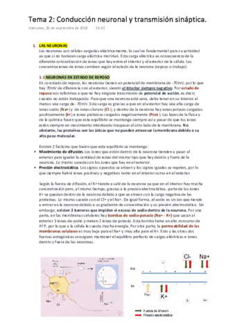 PSICOBIOLOGÍA  Tema 2. Conducción Neuronal y Transmisión Sináptica.pdf