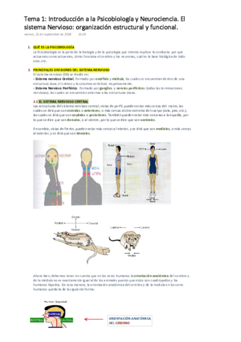 PSICOBIOLOGÍA Tema 1. Introducción a la Psicobiología y Neurociencia..pdf