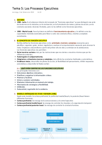 PAT Tema 5. Procesos Ejecutivos..pdf