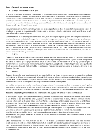 Tema 1 PENAL.pdf