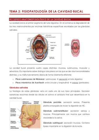 Tema 2.pdf