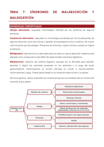 TEMA 7.pdf
