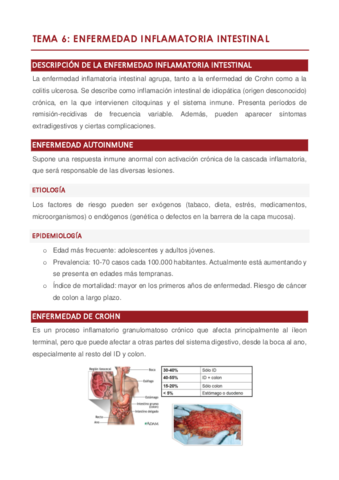 Tema 6.pdf