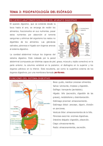 Tema 3 .pdf