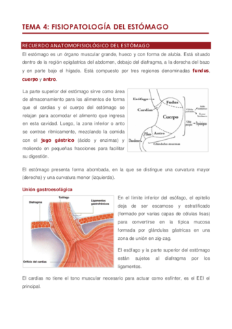 Tema 4.pdf