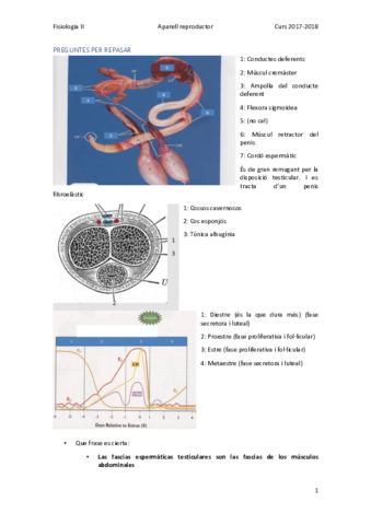 PREGUNTES PER REPASAR.pdf