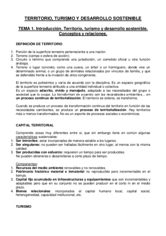 TERRITORIO primer parcial (TODO).pdf