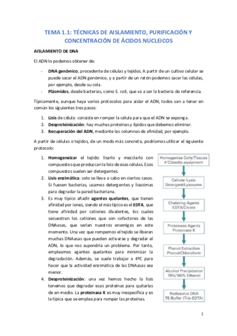 TEMA 1.1.pdf