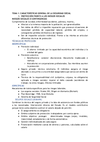 TEMARIO SS1.pdf