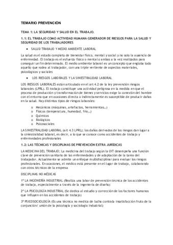 TEMARIO PREVENCION.pdf