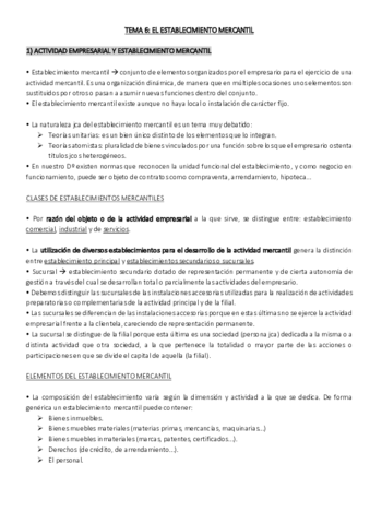 Resumen Tema 6.pdf