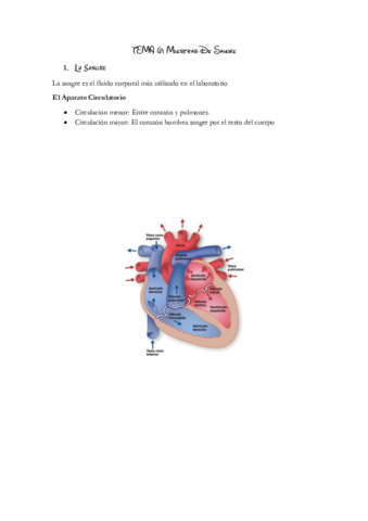 Muestras De Sangre .pdf