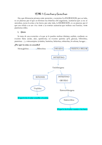 Excreciones y Secreciones .pdf
