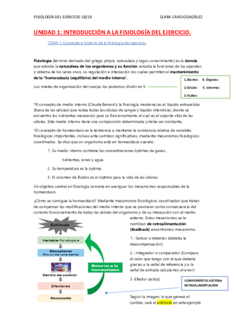 UNIDAD 1.pdf